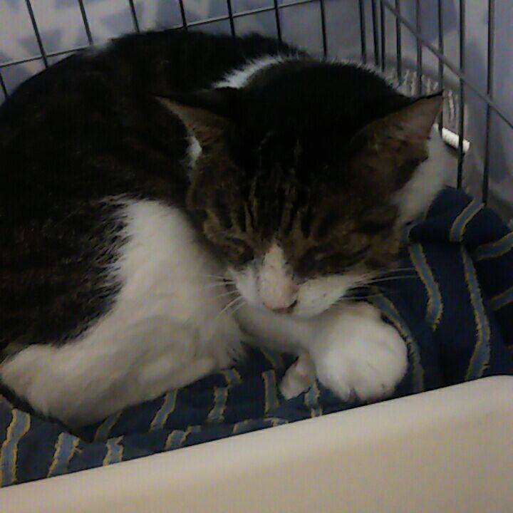 3677063b 573a 484e 8dc5 84d04bc7848e 1537591641056