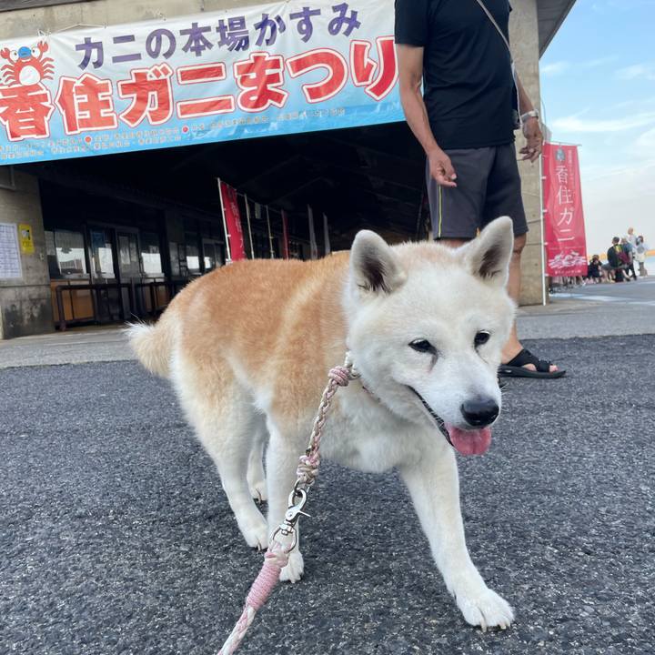 36771e63 7375 4c51 ad94 62166b0256f5 1694821701016