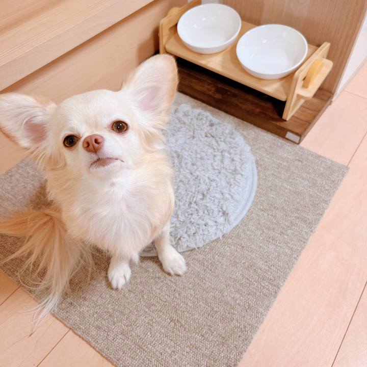 367721ba a016 495f b158 eb5af86f6e2c 1672879547357