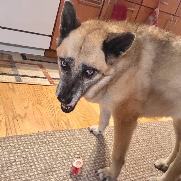 36776bea 4d5e 47ae af3b 933d0d17505d 1556681678406