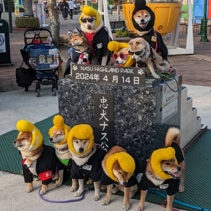 36777607 027f 4a46 a96c a740c29d031b 1713192820539