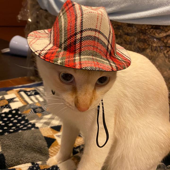 36778e12 e5d7 474a 8e51 06d6bb1184bb 1605709488490