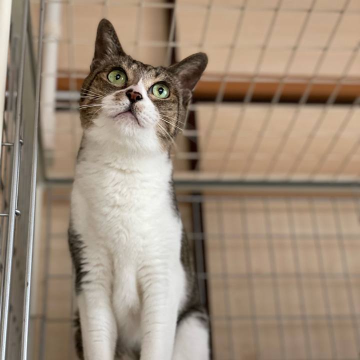 3677999c abbf 4a47 bb4c 2ddebddecd29 1649728208813