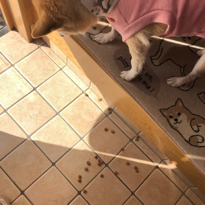 36779c91 2754 4178 8d7c 4208e23aac1d 1577107127483