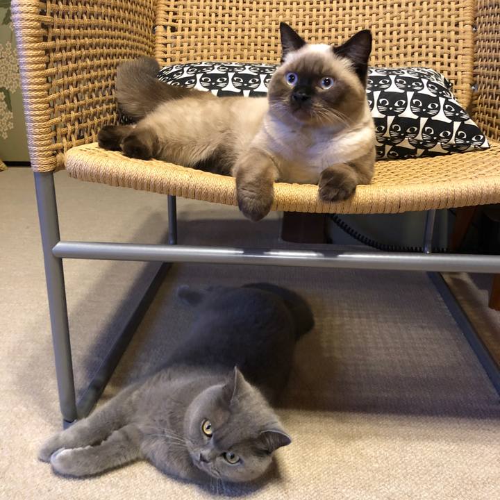 3677d2b6 3518 4ca3 9ba5 15757a14ab0b 1597102729646