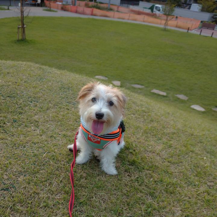 367859da babd 4a78 900b 706052a5fbd4 1755821796015