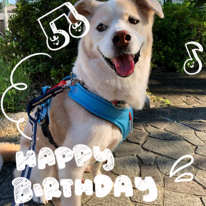 3678966a b3fe 48b1 98d5 ee02f2c85672 1666883846826