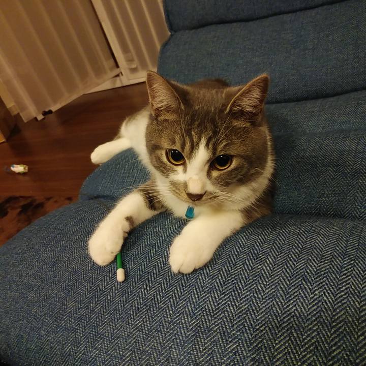 3678ab17 cdf5 4fb3 9601 2ba0fd6fd76b 1574518951272