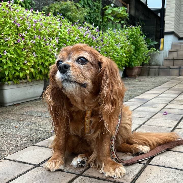 367907d4 bbfe 434b 985f 13cbd9d177cb 1725062087856