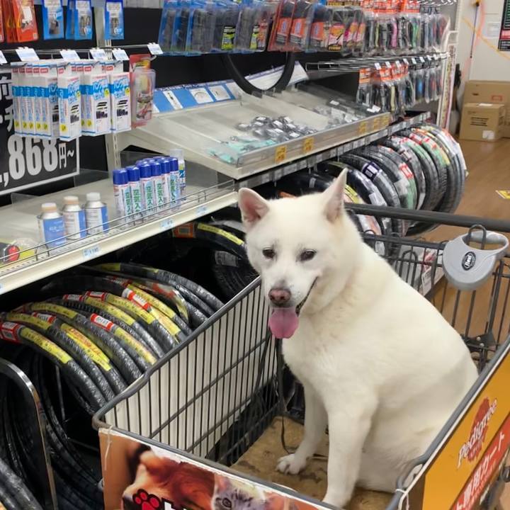 36793f69 6377 4369 86e9 76bdfd712d24 1563287381503