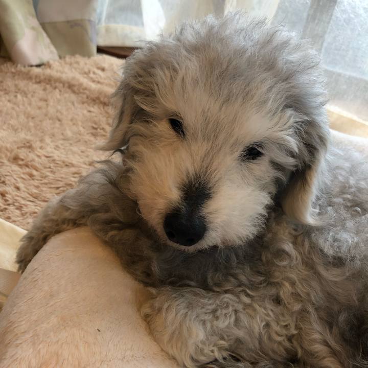 36794ea0 65f8 47fb 9d74 11b3e4b59c62 1651015134482