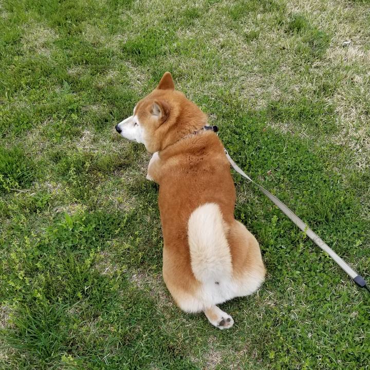 36797615 328e 400f b301 e1eaa50fa959 1620807815827