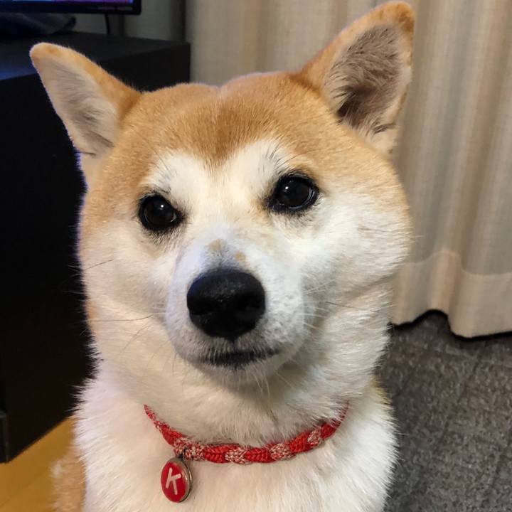 3679a1a8 4937 4e36 b6af 14d91d611aeb 1547336287331