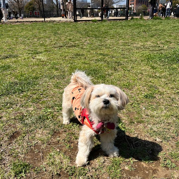 3679aa9d 9f1b 425d acfe 91781254fe52 1774066951955