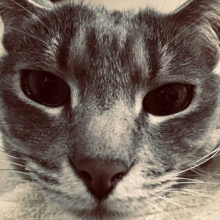 3679b320 c1e9 469f 9100 409ccdf96def 1558531222632