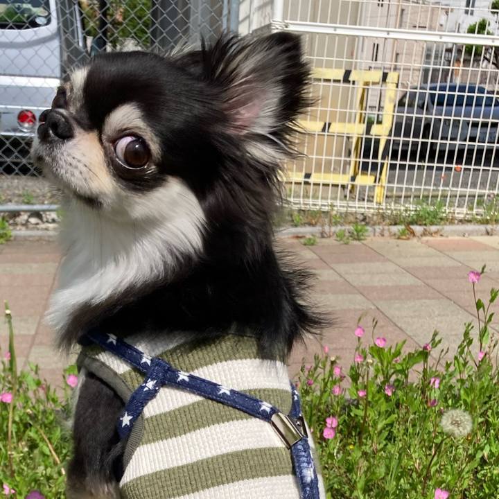 3679b6df 2337 46ed 8114 57a78a198e75 1651982753441