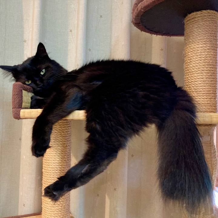 3679ffc5 1a88 4bd4 91d4 36734c60b8d3 1756527561927