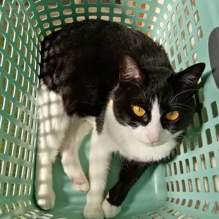 367a0ab6 de0b 4589 8e75 ab64c7898356 1558693936884