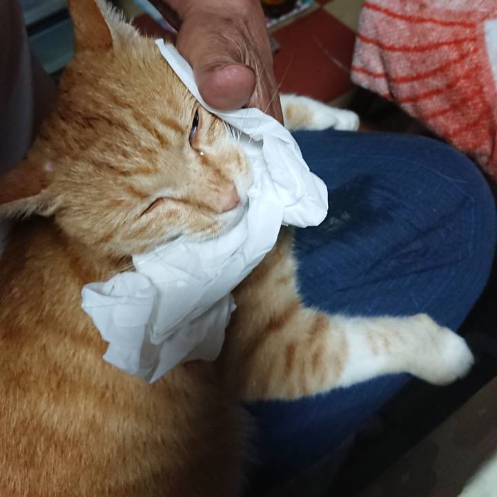 367a0ecb b411 4ed7 8d9c 180cdcac5cc7 1593548519434