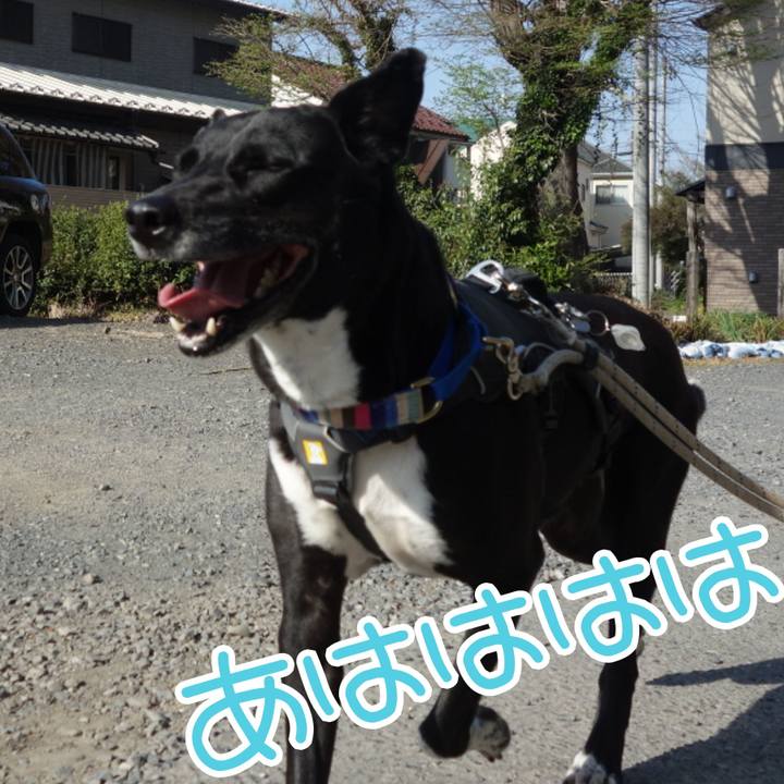 367a1ab3 52be 4f85 9fa8 1a4efe8dbe5c 1649551599762