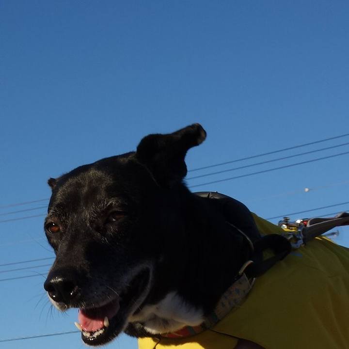 367a26d3 ff2f 4489 a3a8 47dda14fbcca 1738197904533