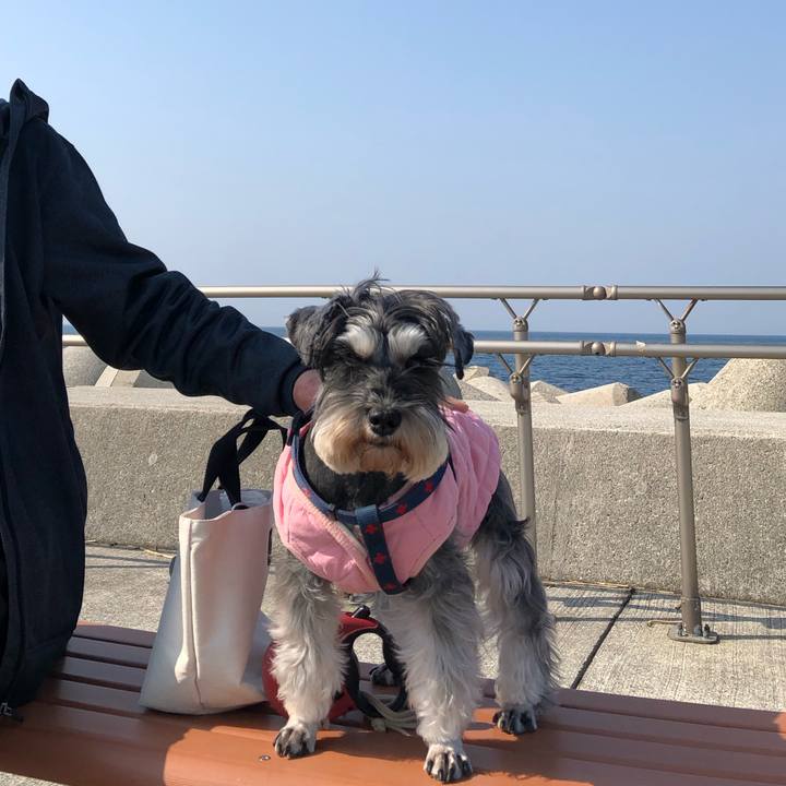 367a4c34 71ca 4b70 8f4a 6990c418352a 1613914023504