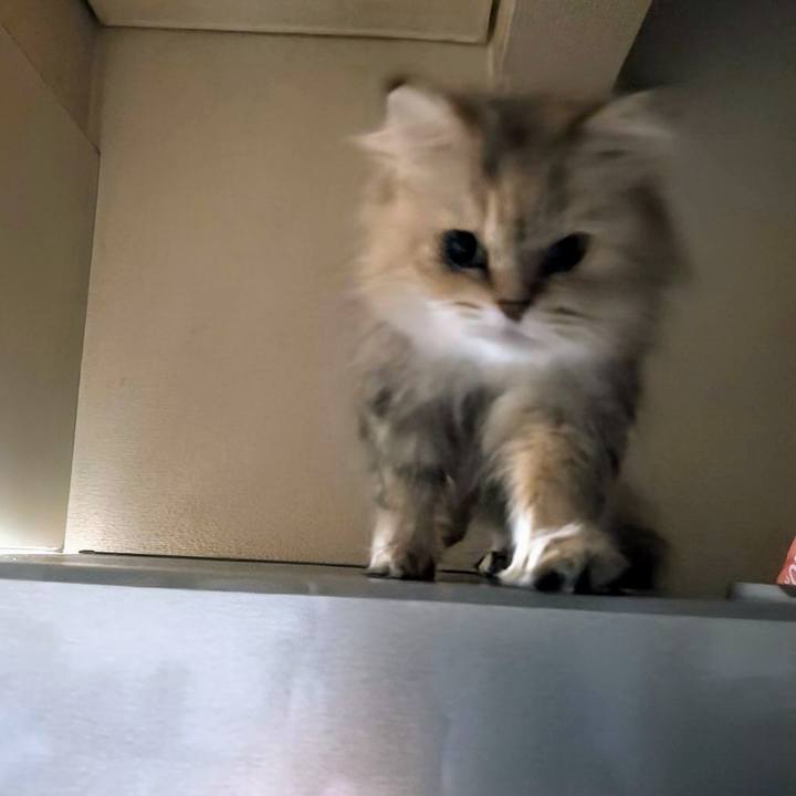 367a615f 6521 4a28 9321 56d59e9ce42b 1717419843832