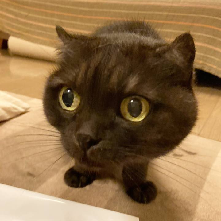 367ae0a7 2716 4a2c bdb7 41e3a88d33b9 1602954759503