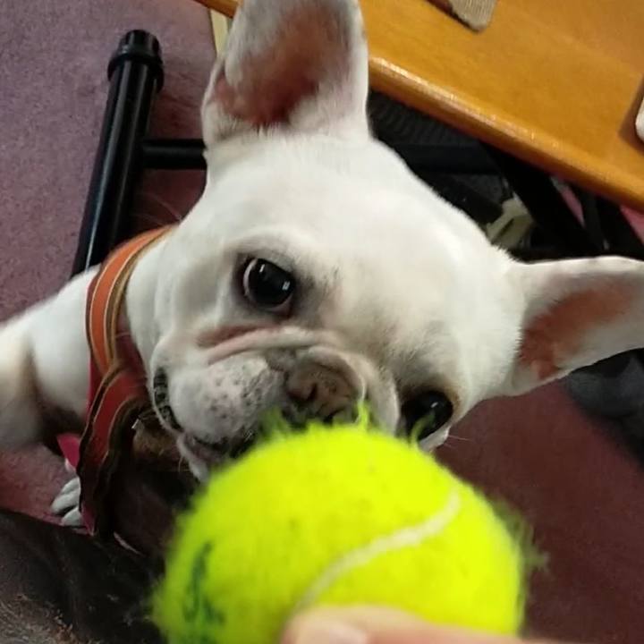 367b02aa 92e6 4225 b7a8 e184845fdab6 1649800068087