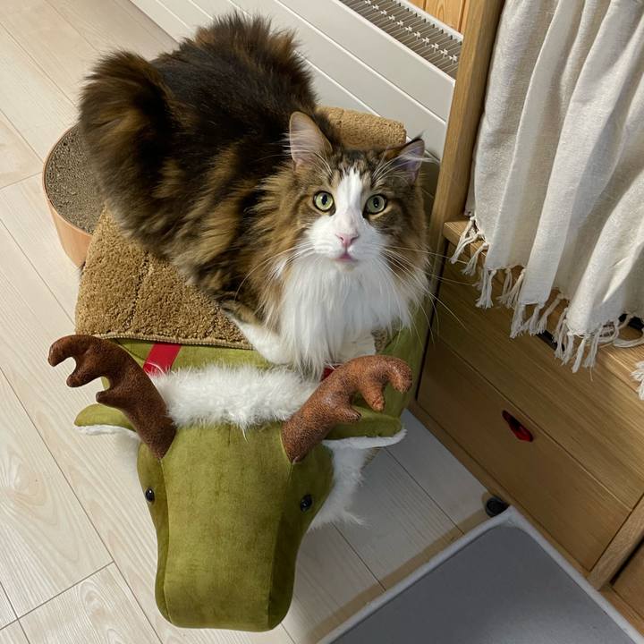 367b06f6 9745 468b 98fe 89450042bc4d 1698955053985