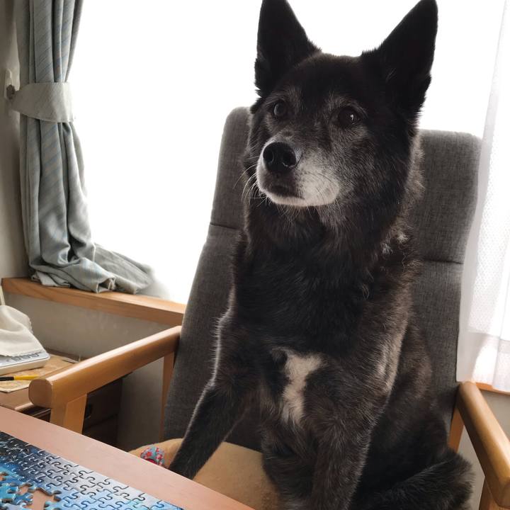 367b1cbd f2e3 4124 9d72 e21c81eae5cb 1584688028214