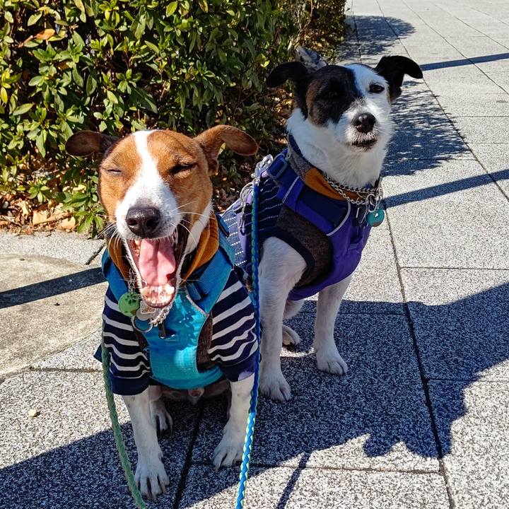 367b2c41 2b1b 4266 8e54 93cd9f39c9eb 1645587576666