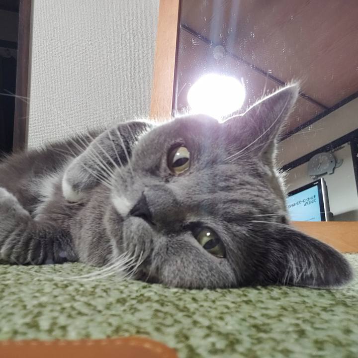 367b6004 2015 4d13 9356 d4c4a57730ef 1643205414113