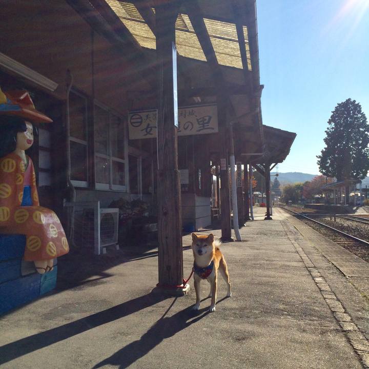 367b7b41 4d69 47de 80b3 cdcc3a739f90 1510217270288