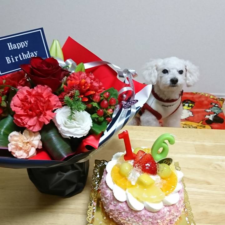 367b8072 8780 4d6d b5fc 74a17374c011 1605703829940