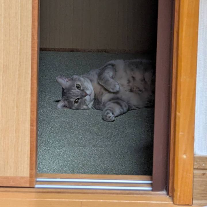 367b91d6 b7e6 49f1 9c68 7bb362d3422c 1757835383255