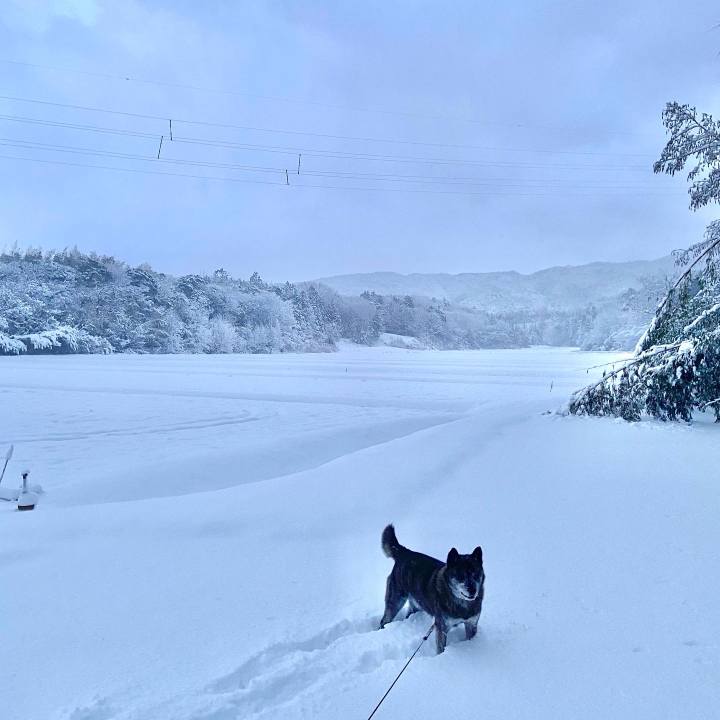 367bbb8e 4550 425f a098 270d1a94fd58 1644014466498