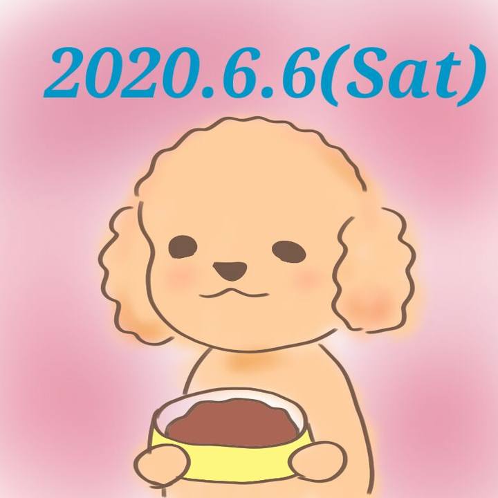 367bd7b7 0bfd 4c66 8648 c898b07da680 1591449757626