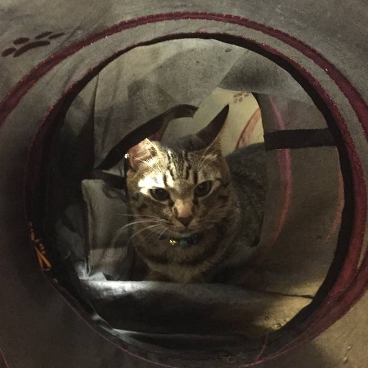 367c2b8e 5498 4a3e bffb 6bc5bcfd8bcc 1508157058108