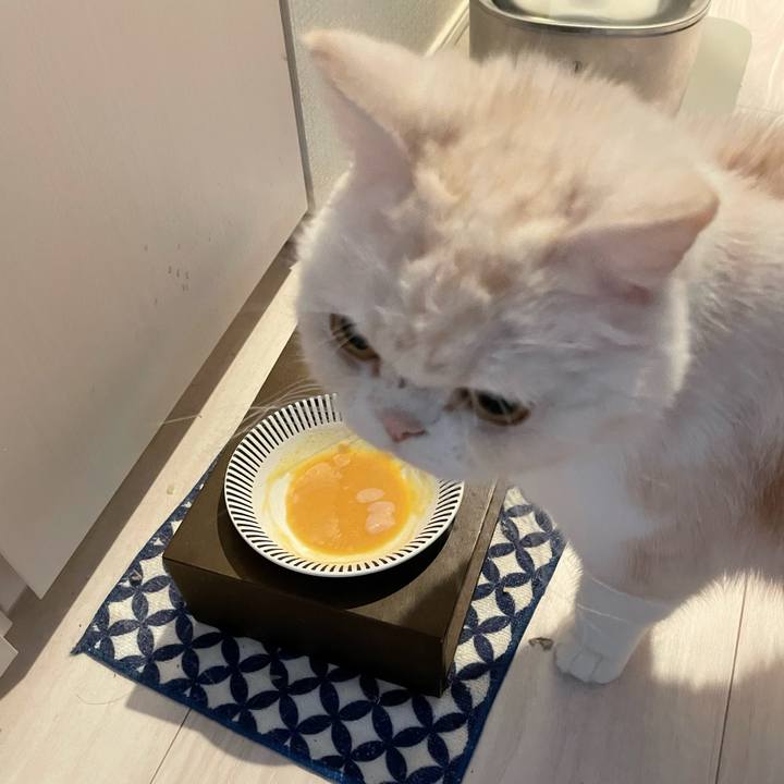 367c320f f768 4746 8fb2 2b4586864620 1764111008539