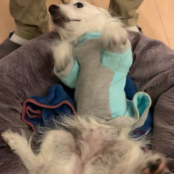 367c3c4b 4394 4813 ba51 1ef5407cad0e 1645530951404