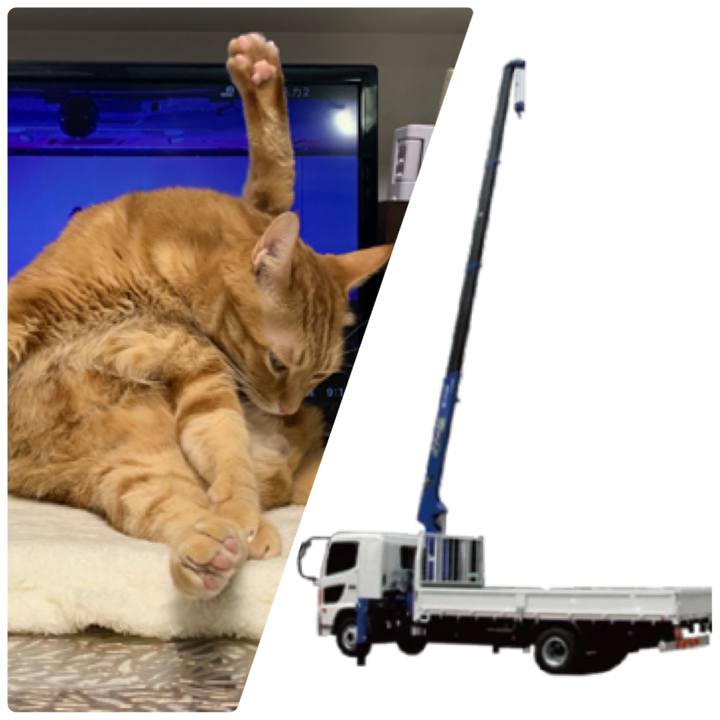 367c5cad 34bc 429b b426 936c0243c080 1617622816420