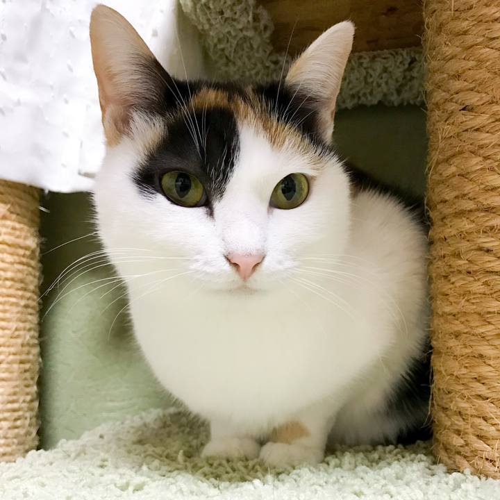 367c8331 7fbd 4b35 96ae e7b8b36187e0 1514898191341