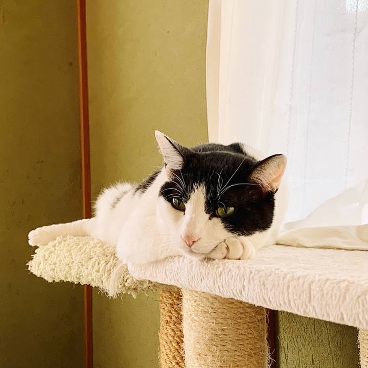 367c8ec9 666c 4e96 b79a 9f5bba11e916 1557020124578