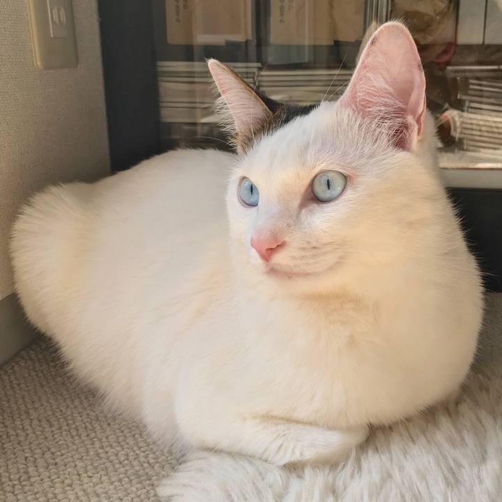 367c8f53 2f75 4182 9e71 649ef763d1f3 1523020769448