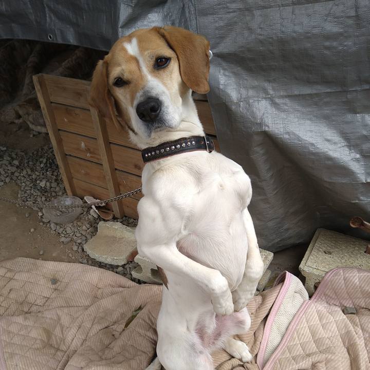 367ca71b ecab 4b80 97bb fe1775cdc3c6 1650260938435