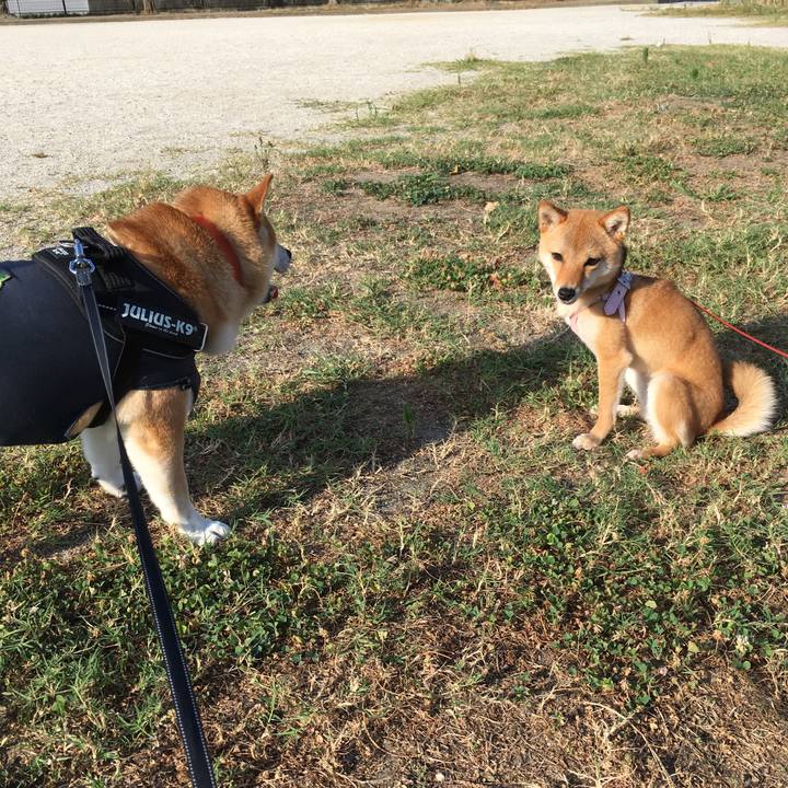 367d00c4 5cfa 4549 bcda 9761b93fb4a8 1532642911026