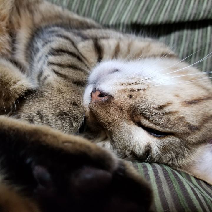 367d5bb4 c35f 436a 9b69 0503b12d9cf8 1641472029397