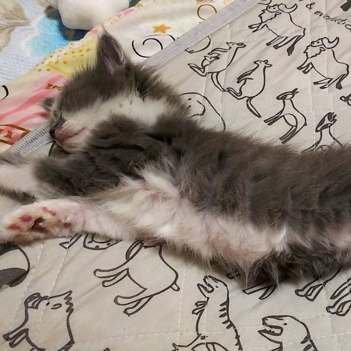 367d867e 2638 43ef 96a9 c80507cb0606 1582450667171