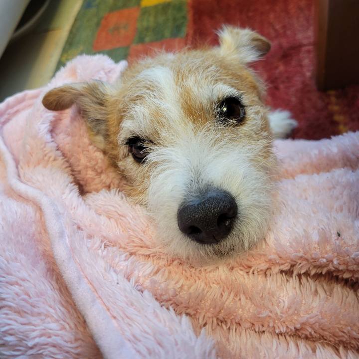 367dbec0 b9b7 429f abf7 e0414397b013 1769470024854